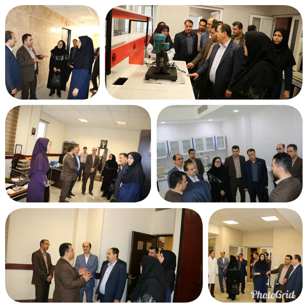 بازدید سرپرست پژوهشگاه استاندارد از اداره کل استاندارد استان گلستان