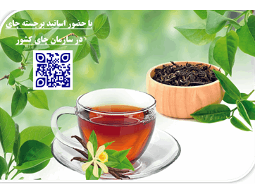 فرآوری چای و عوامل موثر بر ویژگی‌های حسی، فیزیکی و شیمیایی آن با تاکید بر ویرایش چهارم استاندارد ملی ۶۲۳