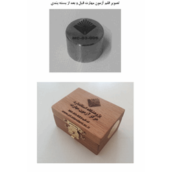 بررسی عملکرد آزمایشگاه های مکانیک و فلزشناسی در زمینه کوانتومتری فولاد کم آلیاژ از طریق اجرای آزمون مهارت