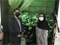 سفر دو روزه رییس پژوهشگاه استاندارد و هیات همراه به شهرستان چابهار