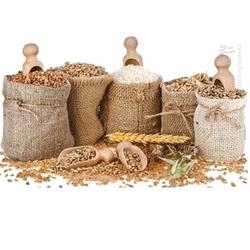 مطالعه بین آزمایشگاهی روش اندازه گیری آفلاتوکسین های گروه B و G در غلات به منظور تجدیدنظر استاندارد ایزو 16050