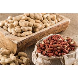 پایش و بررسی میزان آفلاتوکسین  B و G به روش در بادام زمینی  HPLC به منظور ارزیابی ریسک و بازنگری حد مجاز آفلاتوکسین