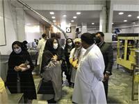 سفر دو روزه رییس پژوهشگاه استاندارد و هیات همراه به شهرستان چابهار