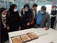 سفر یک روزه رییس پژوهشگاه استاندارد به استان اصفهان و انعقاد تفاهم نامه همکاری مشترک